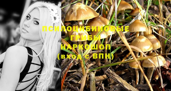 скорость Мегион