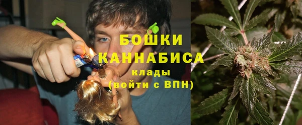 гидропоника Медногорск