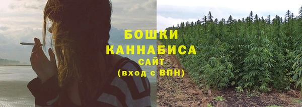 гидропоника Медногорск