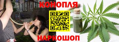 стаф Канаш