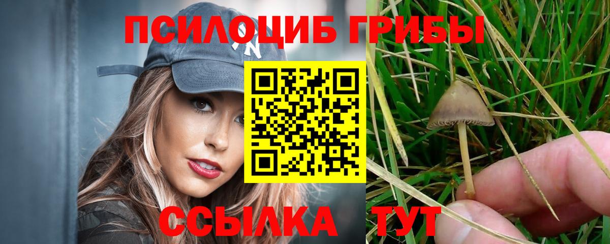 Галлюциногенные грибы мухоморы  Вход с VPN  Краснодар 